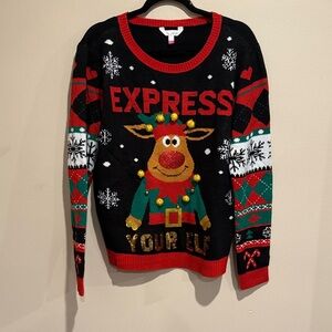 🎄No Boundaries Black Festive Reindeer Ugly Christmas Sweater